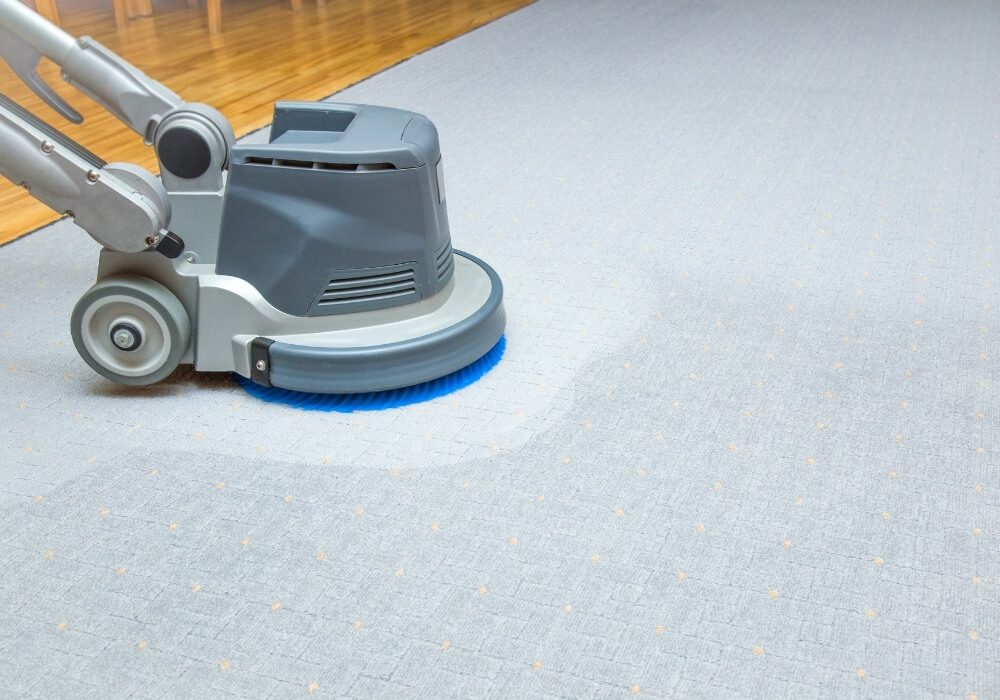 Stor Perde ve Zebra Perde Yıkama ile Evlerinize Ferahlık Getirin